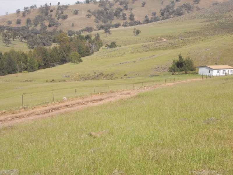 360 Kangaroo Mount Road, Gundagai NSW 2722
