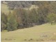360 Kangaroo Mount Road, Gundagai NSW 2722