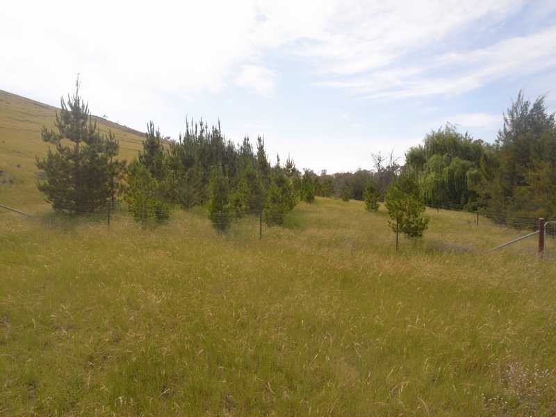 360 Kangaroo Mount Road, Gundagai NSW 2722