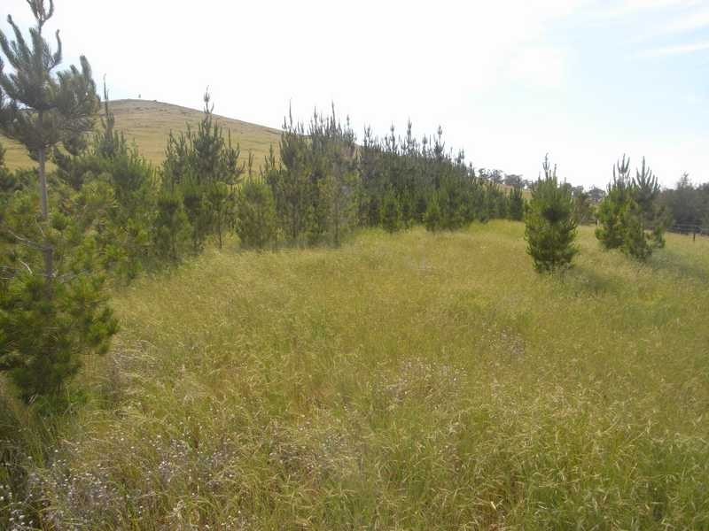 360 Kangaroo Mount Road, Gundagai NSW 2722