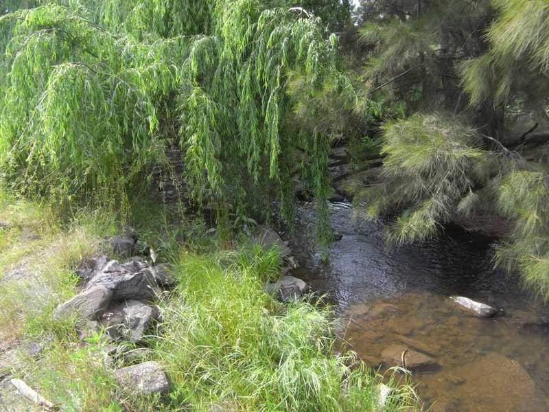 360 Kangaroo Mount Road, Gundagai NSW 2722