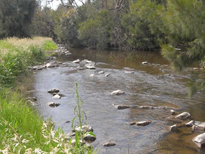 360 Kangaroo Mount Road, Gundagai NSW 2722