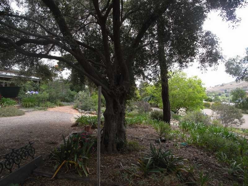 45 Otway Street, Gundagai NSW 2722