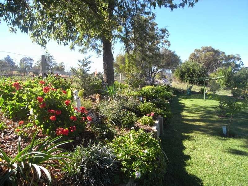 68 Camp Street, Adelong NSW 2729