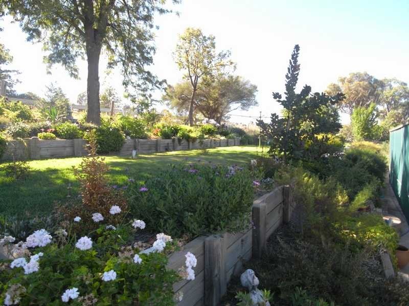 68 Camp Street, Adelong NSW 2729