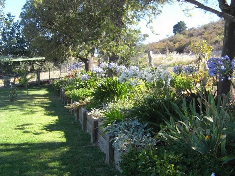 68 Camp Street, Adelong NSW 2729