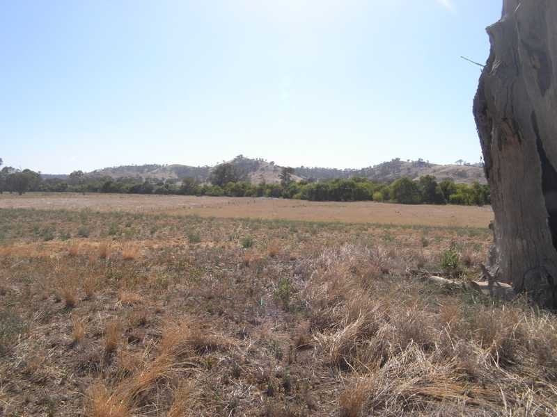 Lot/5 Adelong Road, Tumblong NSW 2729