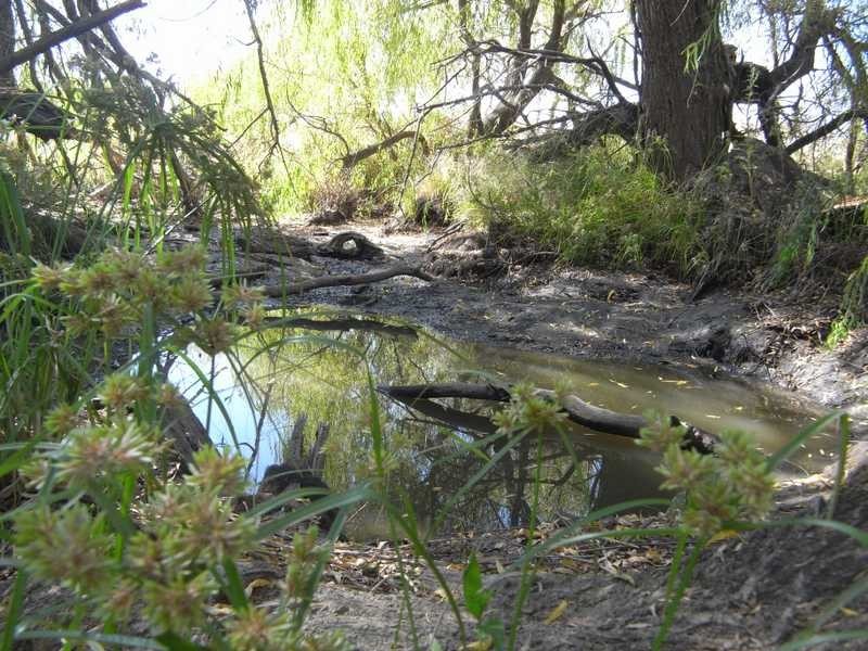 Lot/5 Adelong Road, Tumblong NSW 2729