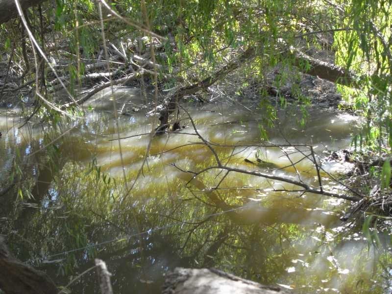 Lot/5 Adelong Road, Tumblong NSW 2729