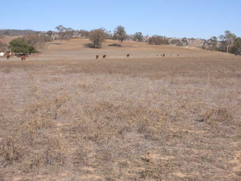 Lot/6 Adelong Road, Tumblong NSW 2729