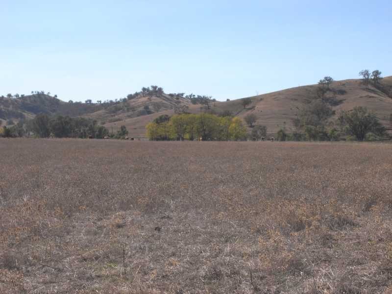 Lot/6 Adelong Road, Tumblong NSW 2729