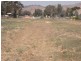 Lots 15 & 16 Mount Street, Gundagai NSW 2722