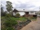 5 Camphor Lane, Gundagai NSW 2722