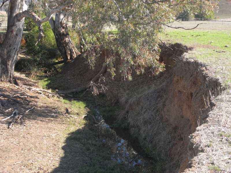 4 Adelong Road, Tumblong NSW 2729