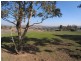 Lot 11/55 Luke Street, Gundagai NSW 2722