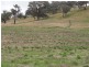 Lot/4 Nargoon Estate, Gundagai NSW 2722