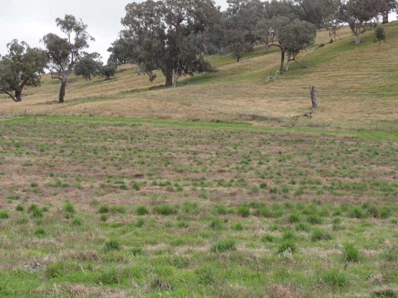 Lot/4 Nargoon Estate, Gundagai NSW 2722