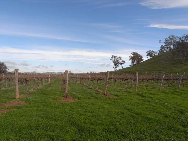 Lot/4 Nargoon Estate, Gundagai NSW 2722