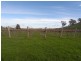Lot/4 Nargoon Estate, Gundagai NSW 2722