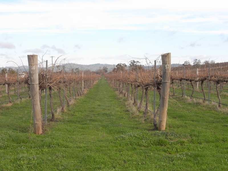 Lot/4 Nargoon Estate, Gundagai NSW 2722