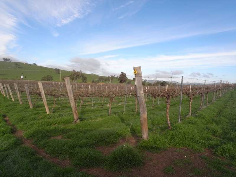 Lot/4 Nargoon Estate, Gundagai NSW 2722