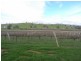 Lot/4 Nargoon Estate, Gundagai NSW 2722