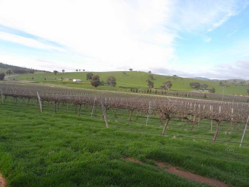 Lot/4 Nargoon Estate, Gundagai NSW 2722