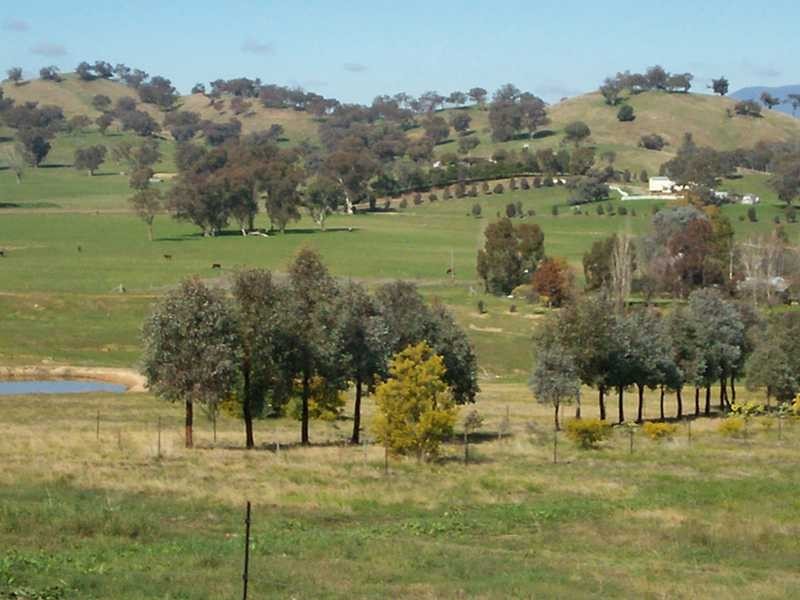 104 Cockatoo Road, Tumut NSW 2720