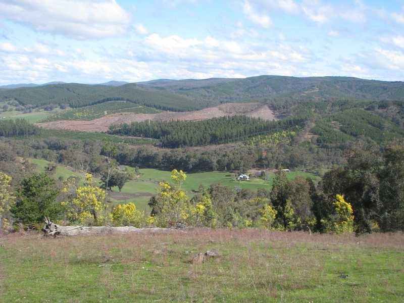 Lot 2 Tumbarumba Road, Tarcutta NSW 2652