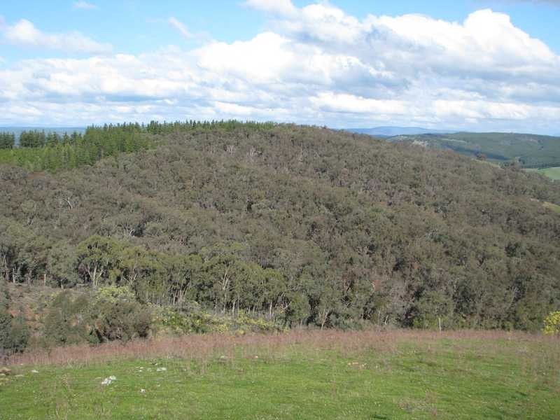 Lot 2 Tumbarumba Road, Tarcutta NSW 2652