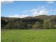 Lot 2 Tumbarumba Road, Tarcutta NSW 2652