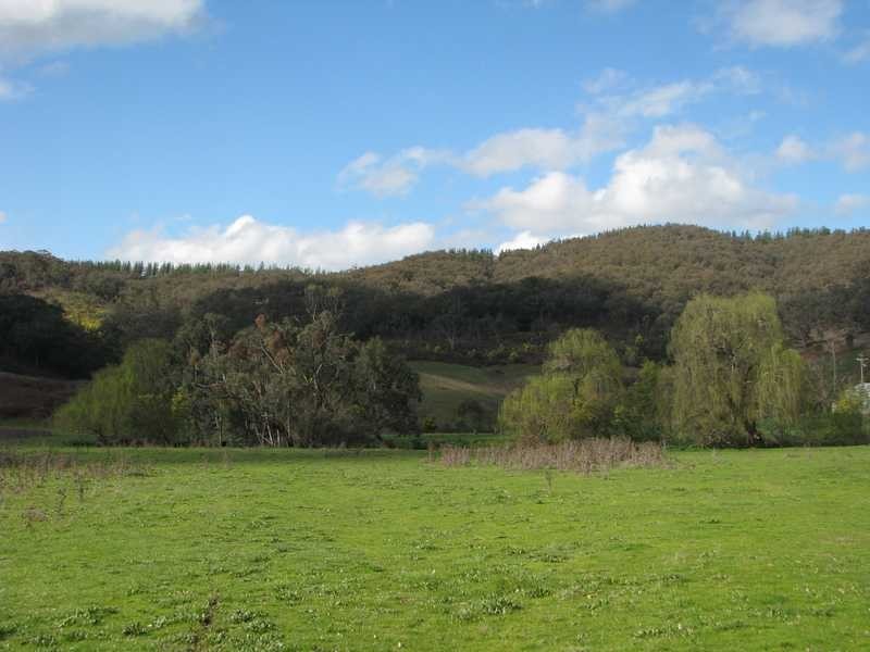 Lot 2 Tumbarumba Road, Tarcutta NSW 2652