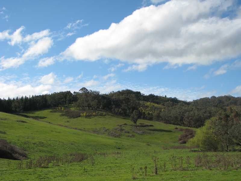 Lot 2 Tumbarumba Road, Tarcutta NSW 2652