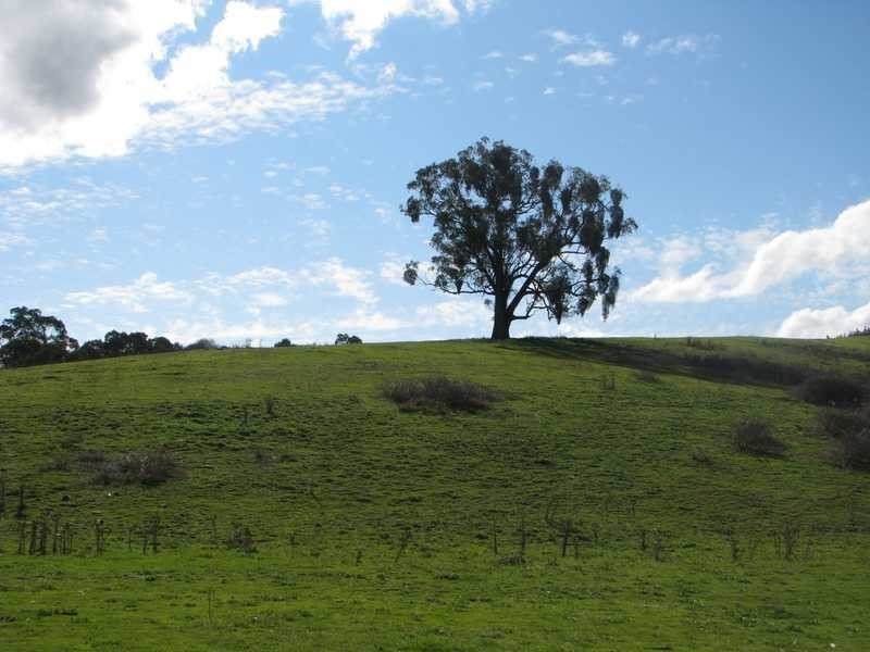 Lot 2 Tumbarumba Road, Tarcutta NSW 2652