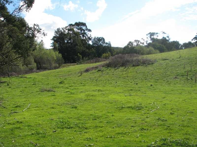 Lot 2 Tumbarumba Road, Tarcutta NSW 2652