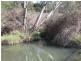 Lot 2 Tumbarumba Road, Tarcutta NSW 2652