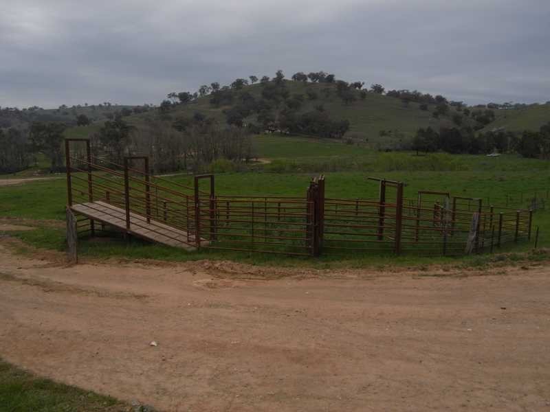 Willowie 5 Mile Creek Road, Gundagai NSW 2722