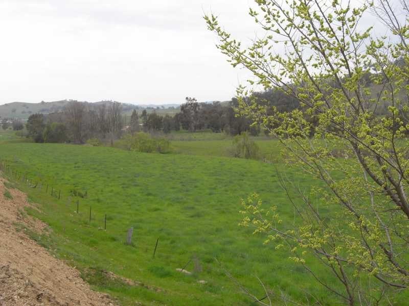 Willowie 5 Mile Creek Road, Gundagai NSW 2722