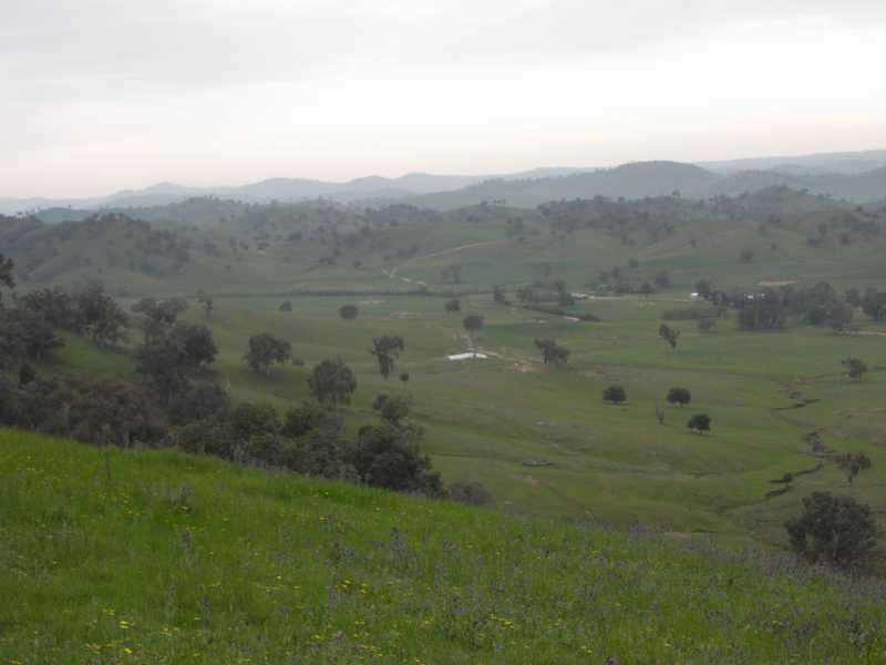 Willowie 5 Mile Creek Road, Gundagai NSW 2722