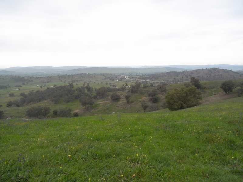 Willowie 5 Mile Creek Road, Gundagai NSW 2722