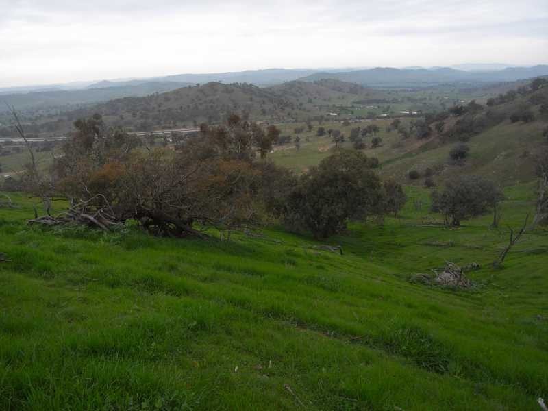 Willowie 5 Mile Creek Road, Gundagai NSW 2722