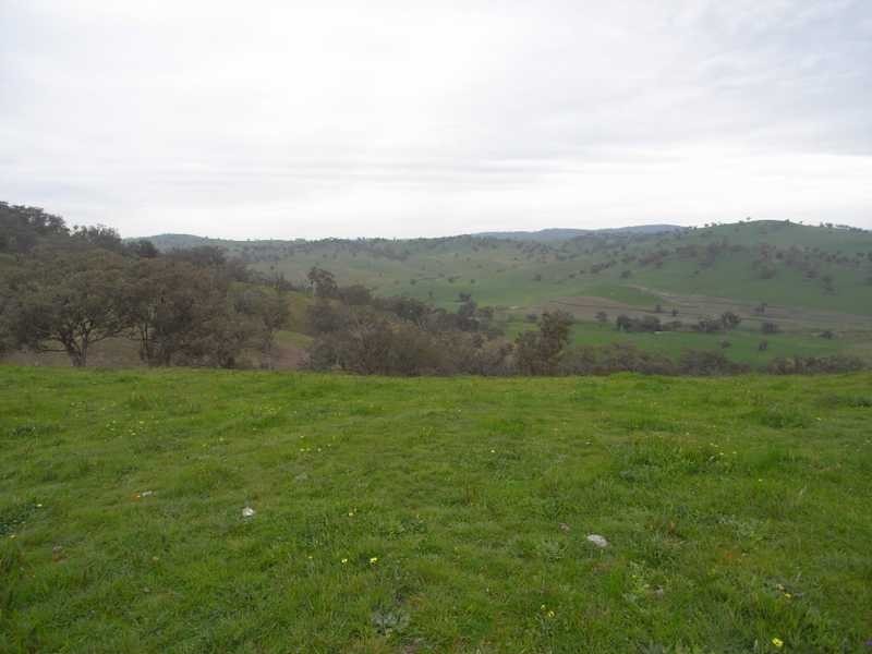 Willowie 5 Mile Creek Road, Gundagai NSW 2722