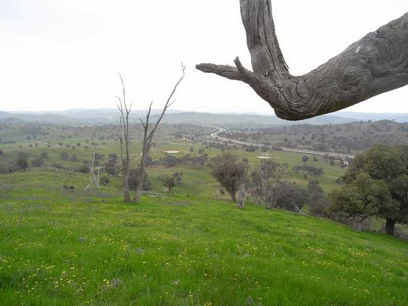 Willowie 5 Mile Creek Road, Gundagai NSW 2722