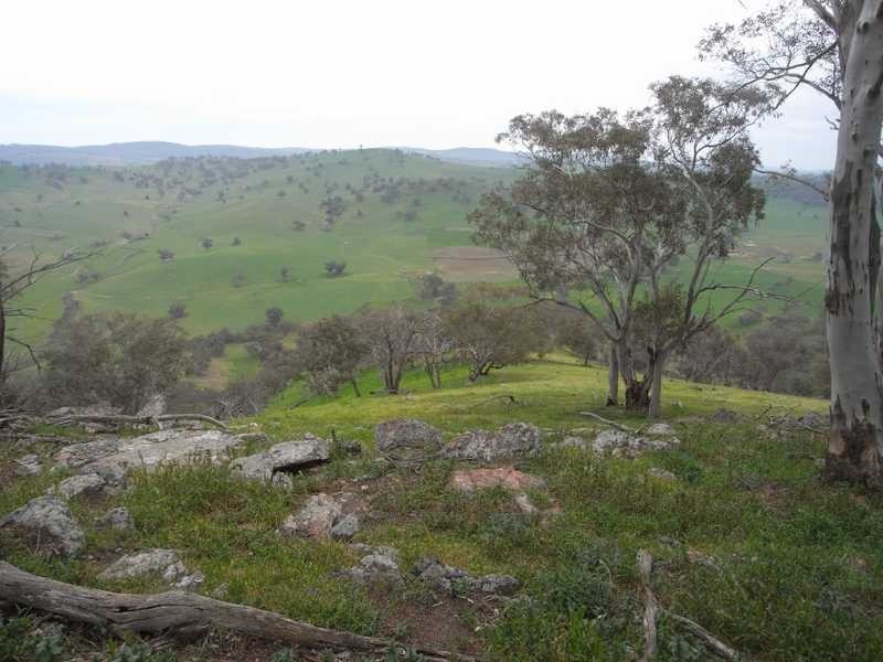 Willowie 5 Mile Creek Road, Gundagai NSW 2722