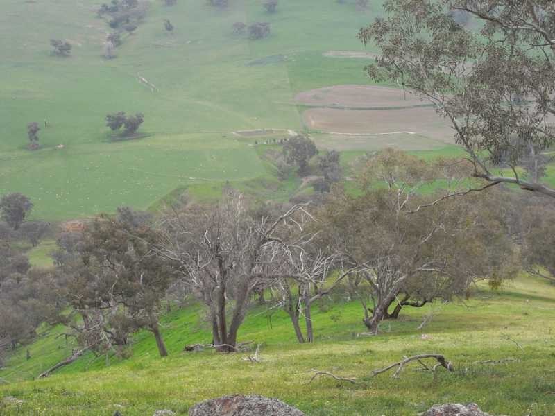 Willowie 5 Mile Creek Road, Gundagai NSW 2722