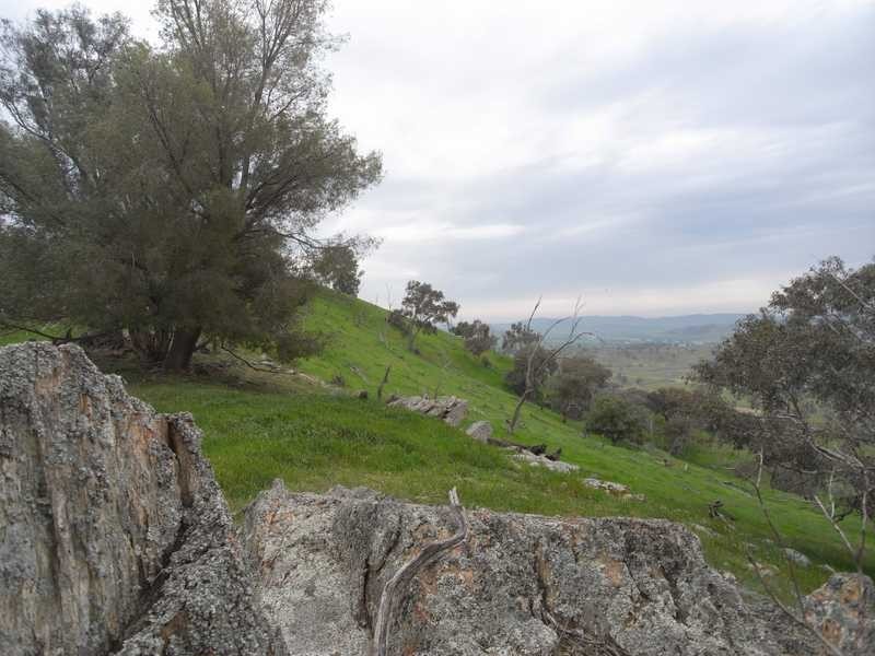 Willowie 5 Mile Creek Road, Gundagai NSW 2722