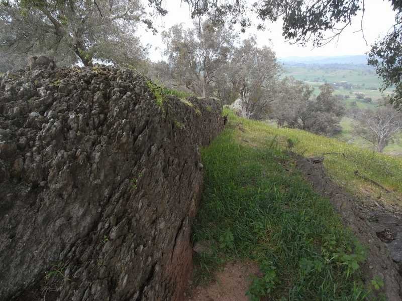 Willowie 5 Mile Creek Road, Gundagai NSW 2722