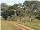 237 Gocup Farms Road, Tumut NSW 2720