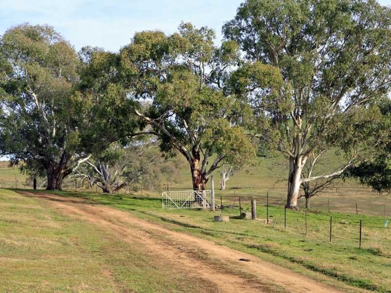237 Gocup Farms Road, Tumut NSW 2720