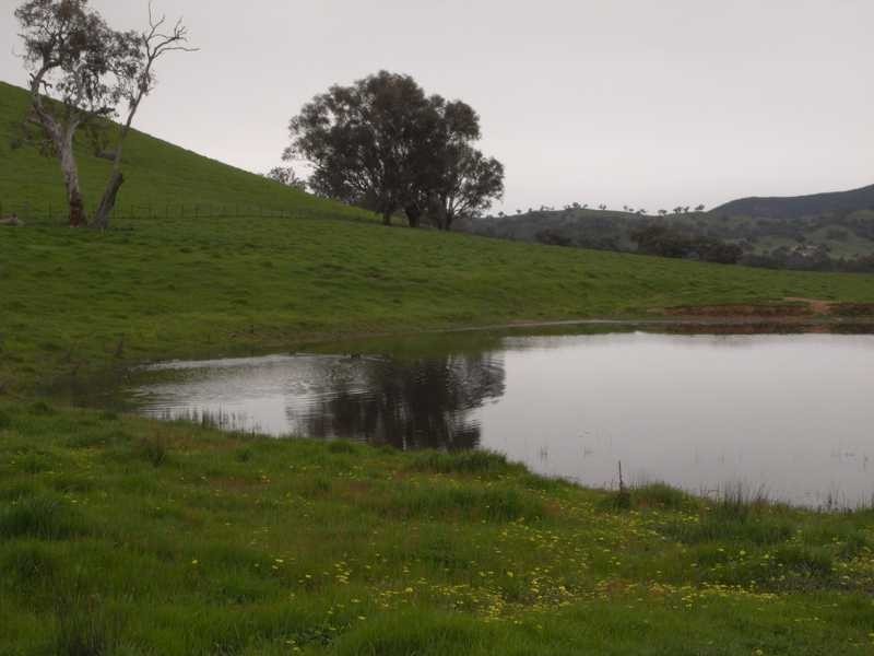 237 Gocup Farms Road, Tumut NSW 2720